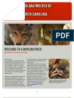 Red Wolf Newsletter