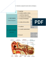 Esquema Del Oído (Recuperado)