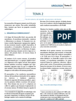 Uro T02 PDF