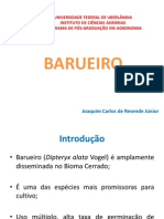 Barueiro PDF