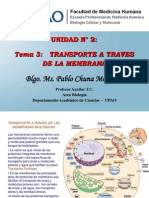 Transporte