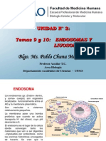 Endosomas y Lisosomas