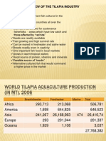 Overview of Tilapia Industry