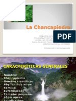 La Chancapiedra Final