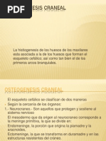 Osteogenesis Craneal