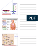 What Is Non-Specific (Innate) Immunity?: Infection by A Pathogen Tissue Injury (Trauma)