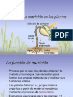 11 Nutricion Plantas