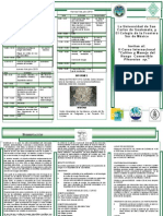 Trifoliar Curso de Hongos Logo MAGA