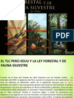 Ley Forestal y de Fauna Silvestre