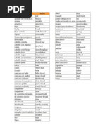 Vocabulario Describiendo Personas