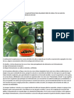 Vinos de Papaya