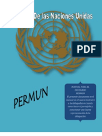 PROYECTO PERMUN (Manual Del Delegado)