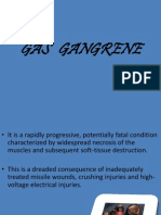 Gas Gangrene.