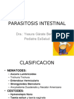 Parasitosis Intestinal