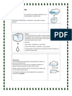 Cambios Físicos