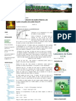 Curso - Interpretación de Análisis Foliares y de Suelos en Palma de Aceite Clase IV - Turradiopalma