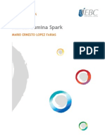 Ernesto Lopez - Spanish - Lumina Spark Workbook