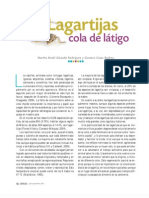 Lagartijas Cola de Látigo PDF