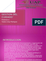 Plan de Gestión Del Cuidado