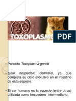 Toxoplasmosis