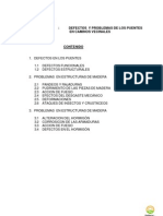 Anexos05y06 Defectos y Pruebas en Puentes