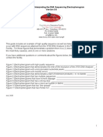 Guide To Electropherogram v3