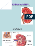 Insuficiencia Renal