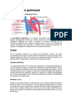 Circulacion Pulmonar