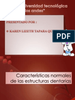 Caracteristicas Normales de Las Estructuras Dentarias