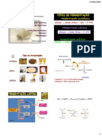 Aula 8 - Fermentacao Lactica