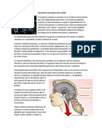 Respuesta Fisiológica Del Estrés