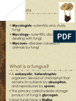 Classification of Fungi