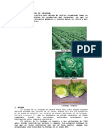 Manual Del Cultivo de Lechuga