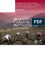 Informe - Forsandino - Peru 2012 PDF