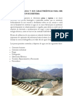 Represas de Agua y Sus Características para Ser Considerado Un Ecosistema