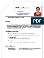 Updated Curriculum Vitae Libina