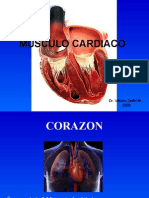 Histologia - 10 - Musculo Cardiaco.01.06.09