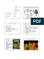 3 Divisions of Non-Vascular Non-Seed Plants: Why Move To Land?