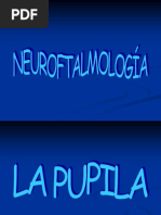 Leccion 23 Neurooftalmologia