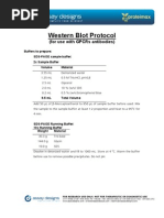 Protocol GPCR WB