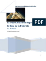 Oportunidad de Negocios en La Base de La Piramide