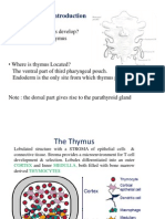 T - Cell Differentiation