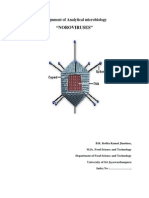 Noro Virus - Analytical Microbiology