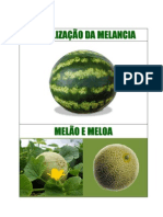 Fertilização Melancia, Melão e Meloa