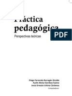 Práctica Pedagógica Libro