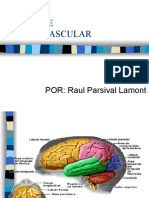 Accidente Cerebro - Vascular