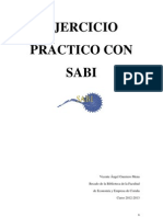 Ejercicio Práctico Con Sabi