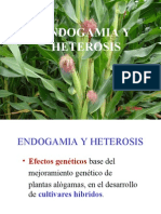 Endogamia y Heterosis