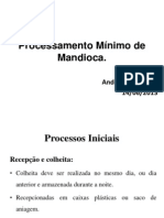 Processamento Mínimo de Mandioca