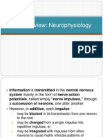 Short Review: Neurophysiology